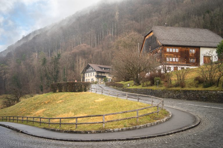 Two houses on a mountain with a winding road with trees in the background